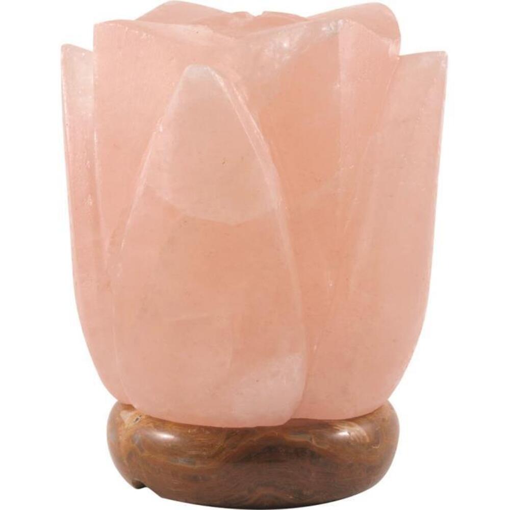 솔트코 쏠트 크리스탈 램프 로투스, SaltCo Salt Crystal Lamp Lotus
